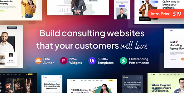 Rise Business Consulting WordPress Theme